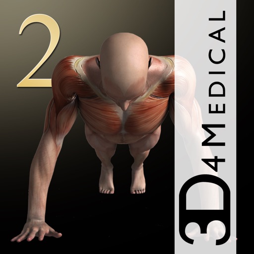 iMuscle 2