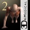 Plan and track a fitness program with the visual and detail iMuscle 2