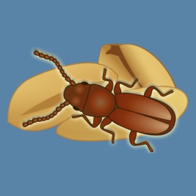 Snímky obrazovky (4) Insects in Stored Grain