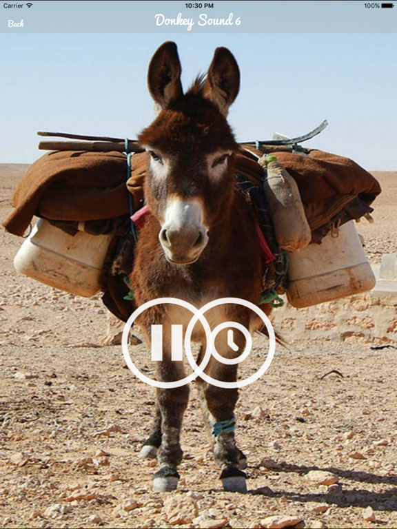 Screenshot #5 pour Donkey Sounds - Funny Sounds