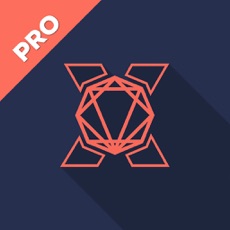 Activities of Polygon X Pro