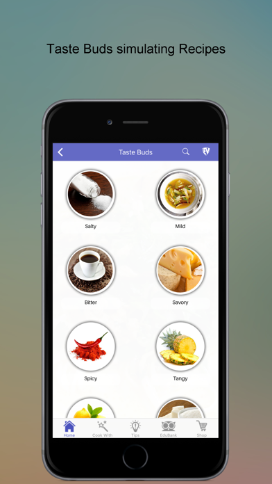 Screenshot #2 pour South East Asian Recipes