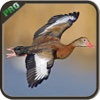 Upland Bird Hunting Challenge Pro