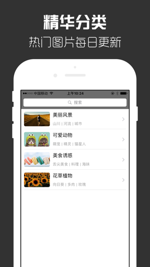 热门壁纸 - 超过10万张高清壁纸等你来下载