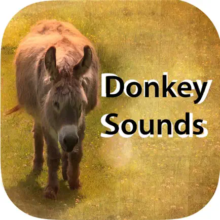 Donkey Sounds - Funny Sounds Читы