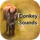 Donkey Sounds - Funny Sounds app icon - Entertainment app for iPhone