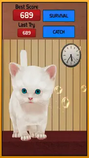 lost cat running game for kids – angela pet kitten iphone screenshot 1