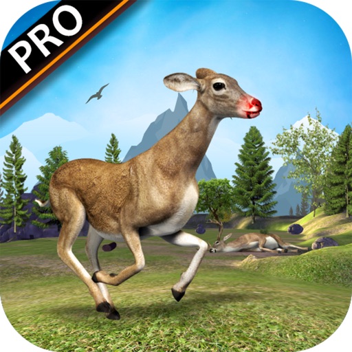 Deer Hunt Wild Safary Pro iOS App