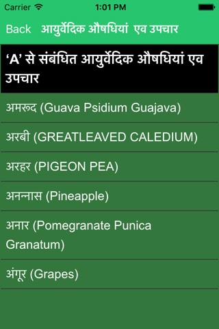 Ayu Medicine Treatment screenshot 3