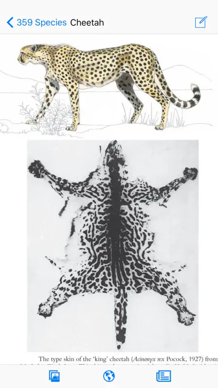 Mammals of the Southern African Subregion screenshot 1 of 5