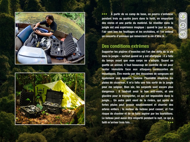Jungle Spirit(圖4)-速報App