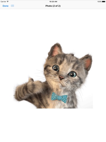 Little Kitten Stickersのおすすめ画像3