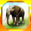 REAL ANIMALS HD (Full) - iPadアプリ