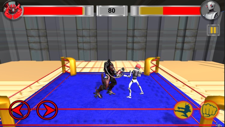 Real Robot Ring Fighting Arena - Raw Fight