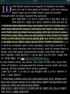 Korean English Bilingual Bible (성경 - King James) iPad image 2