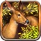 Safari Deer Hunting Challenge Games Simulator