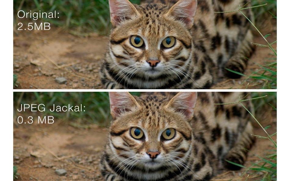 #1. JPEG Jackal PRO (macOS) 来自: Pavel Kosykh