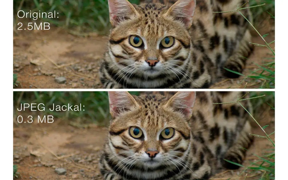 Screenshot 1 of JPEG Jackal PRO 3.0