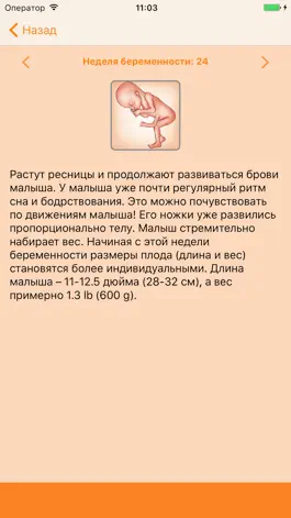 Game screenshot WomanLog Pregnancy Calendar hack