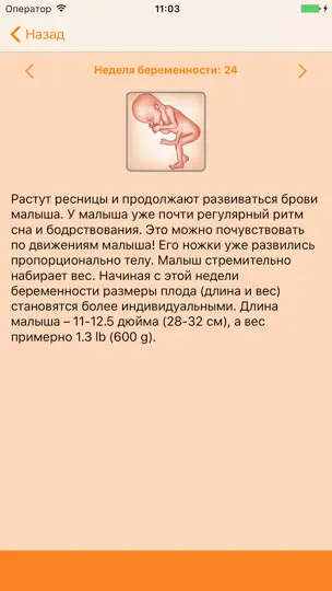 Скриншот WomanLog Pregnancy Calendar на iPhone 3