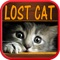 ~ ~ ~ Lost Cat Running Game For Kids ~ ~ ~