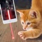 This app is intended for entertainment purposes only and does not provide true Laser