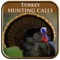 Perfect Turkey Calls and calling instructions in your pocket always with you