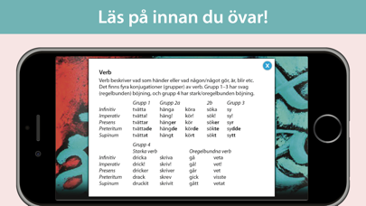 Form i fokus A – svensk grammatikのおすすめ画像4