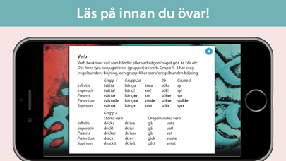 Form i fokus A – svensk grammatik Screenshot