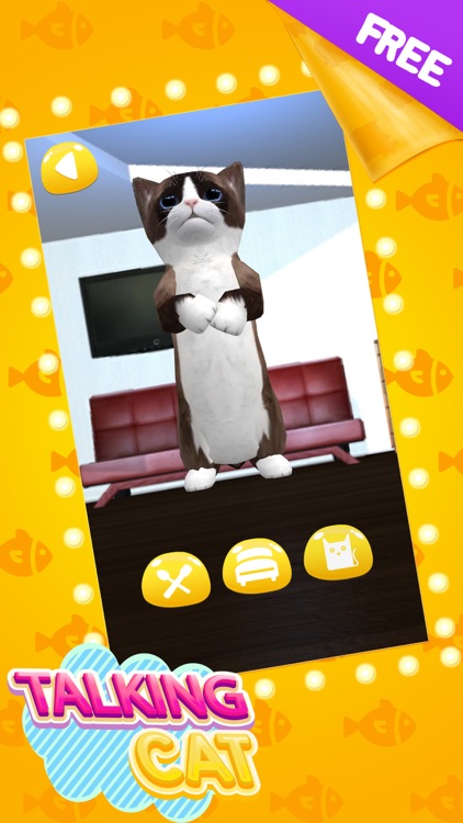 Talking Cat Cute screenshot-3