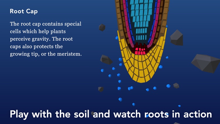 NAMOO - Wonders of Plant Life screenshot-4