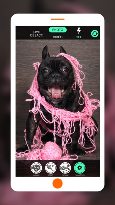 Screenshot #1 pour Octopus Photos - Rangez vos photos instantanément