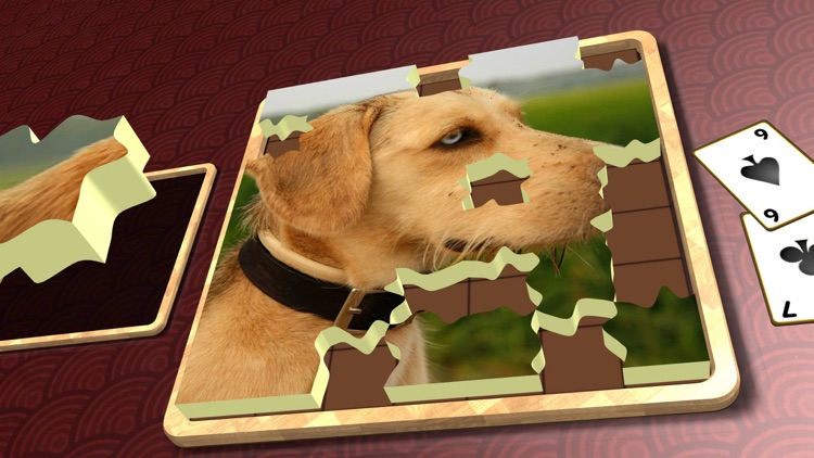 Jigsaw Solitaire Dogs screenshot-4