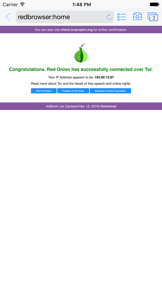 Red Onion - Darknet Browser screenshot