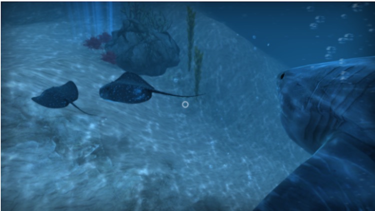 VR Shark screenshot-3