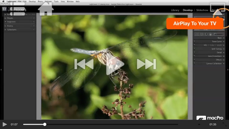 Course For Lightroom 101