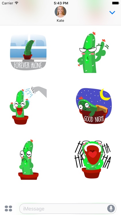 Mr Cactus Stickers