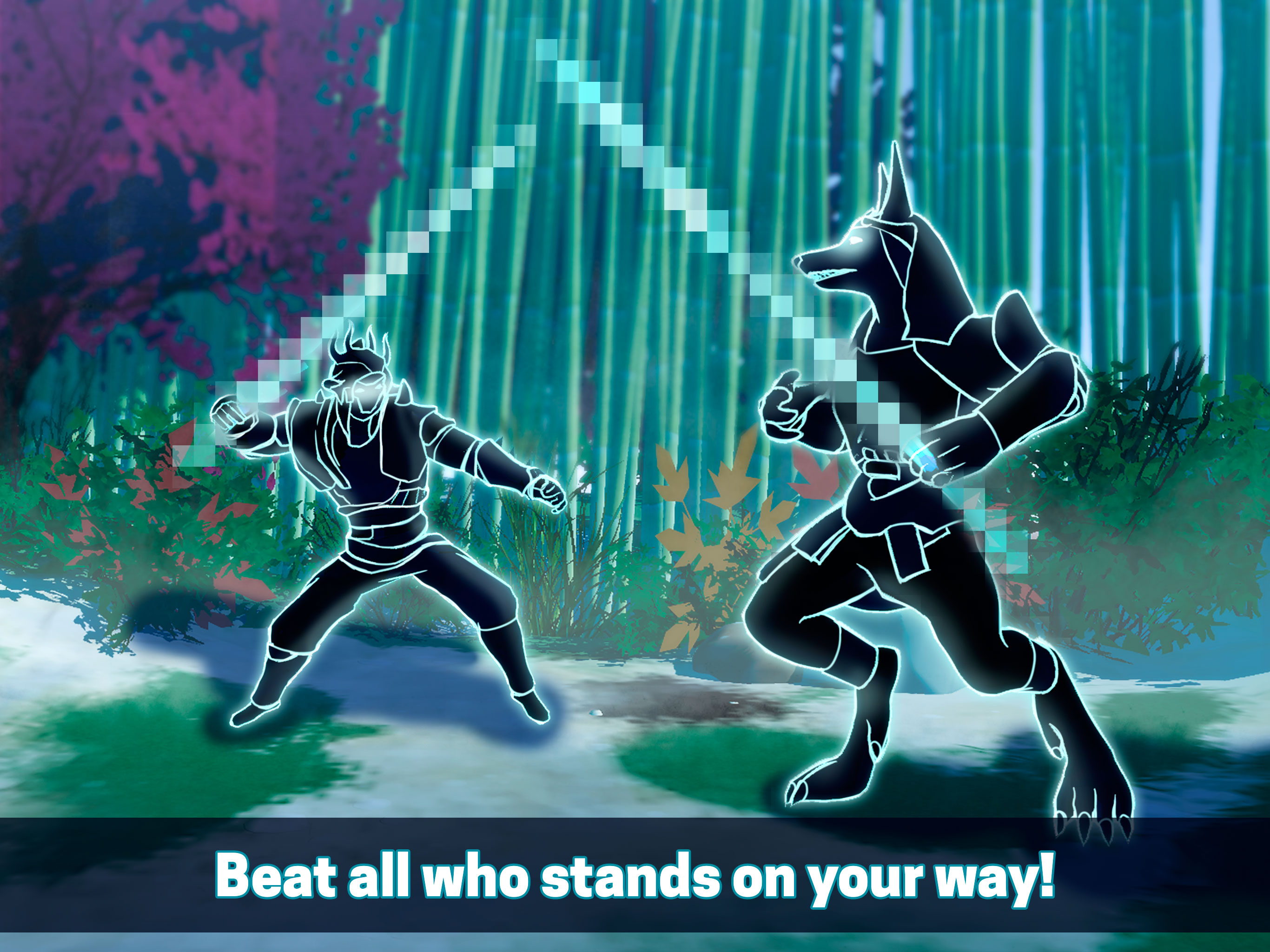 Shadow Kung Fu Battle Legend 3D