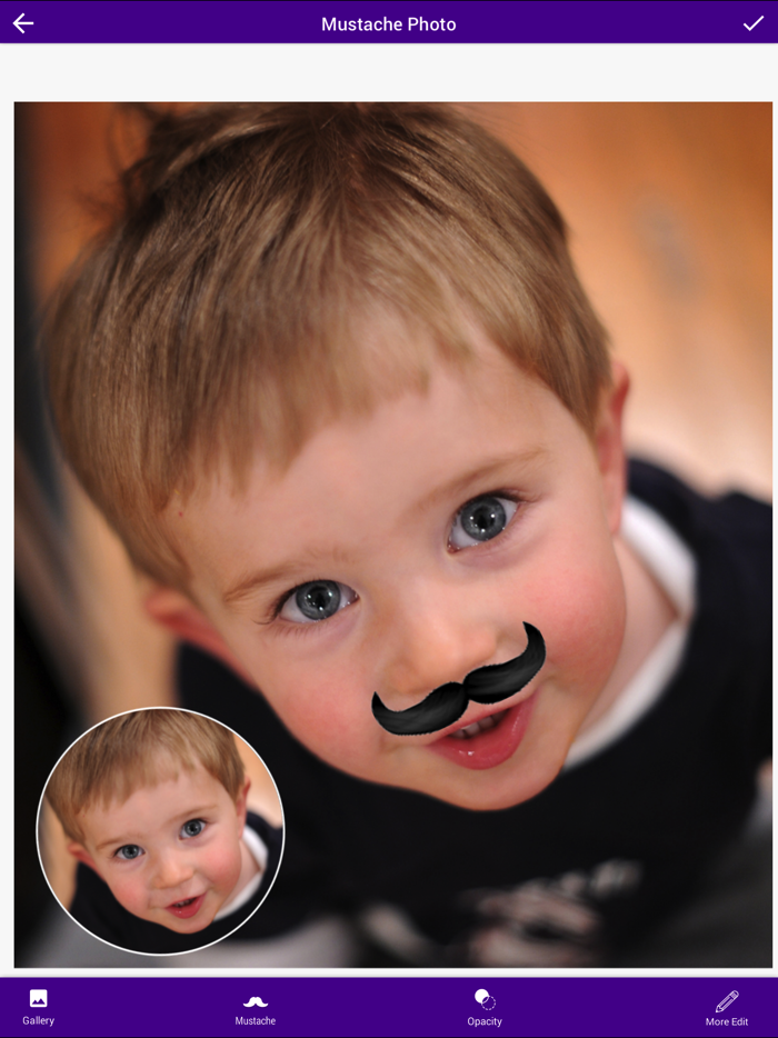 Mustache Photo Booth - Mustache Photo Montage
