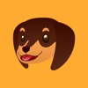 Dachshund Stickers for iMessage