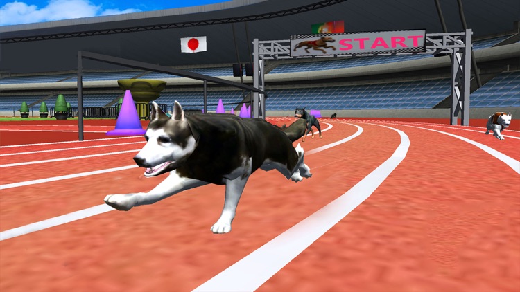 Crazy Racing Dog Simulator