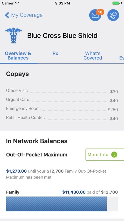 BCBSM screenshot-4