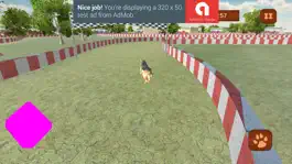 Game screenshot 3D Virtual Dog Racing and Stunts 2017 Tournament hack