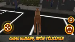 Game screenshot Angry Puma Revenge: City Attack Simulator apk