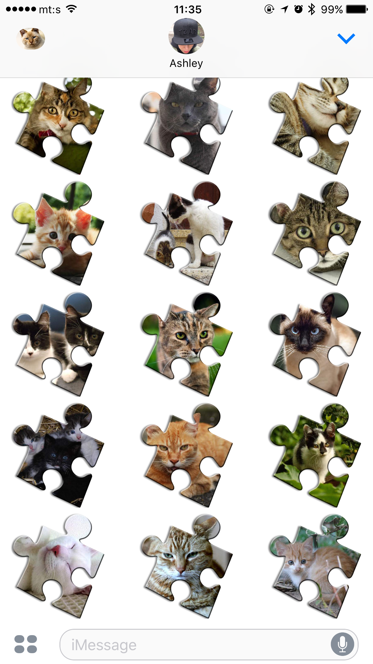 Cat Jigsaw Puzzles screenshot 12