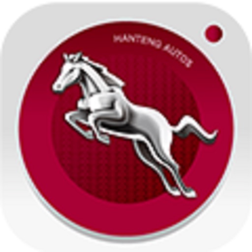 HT DVR app icon