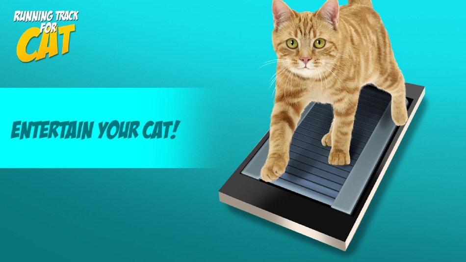 #3. Running Track for Cat (iOS) 由: Alina Sapolgina