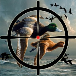 Chasse au canard Pro Challenge-Bird Jeu de tir 3D