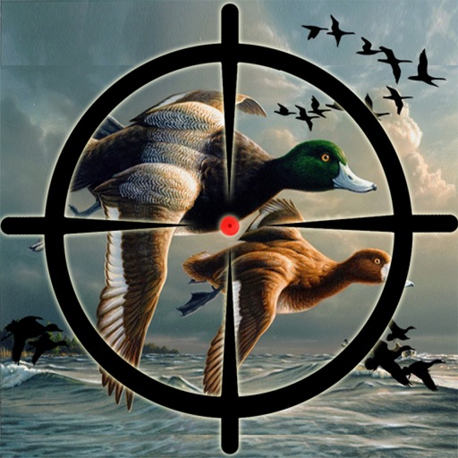 Duck Hunting Pro Challenge-Bird Shooting Game 3D icon