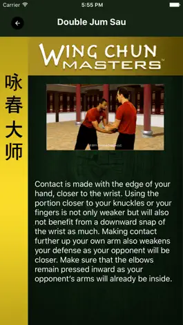Game screenshot Wing Chun Masters 2 - HD apk